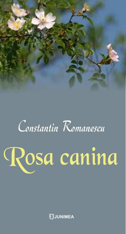 Rosa canina