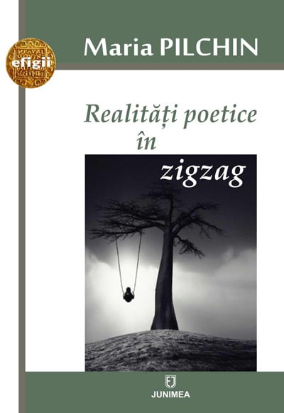 Realități poetice în zigzag